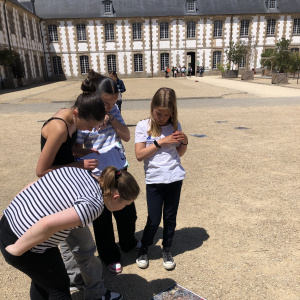 observation des nids